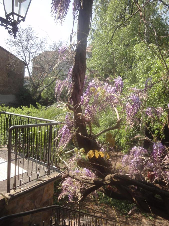Apartment Le Jardin Des Remparts Colmar